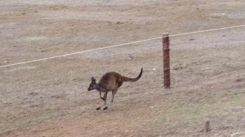 Rosie\'s - Darwin Holiday 28