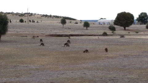 Rosie\'s - Darwin Holiday 27