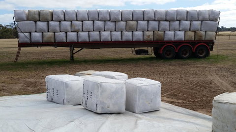 Rosie\'s - Darwin Holiday 23