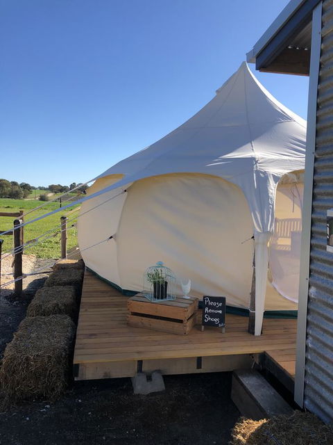 Bukirk Glamping & Fancy Coops - Darwin Holiday 11