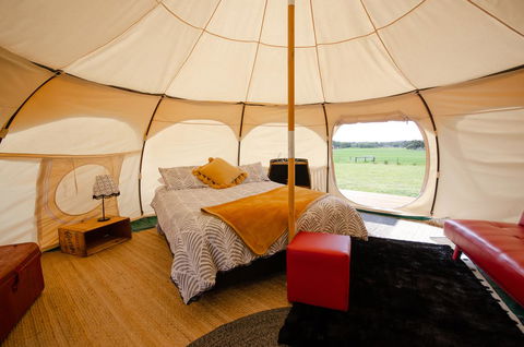 Bukirk Glamping & Fancy Coops - Darwin Holiday 8