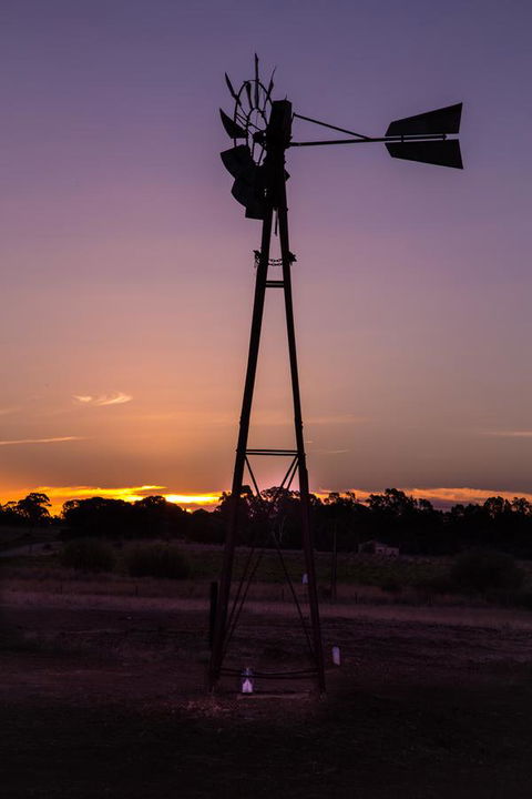 Bukirk Glamping & Fancy Coops - Darwin Holiday 31