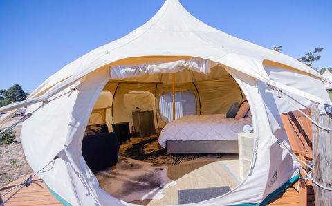 Bukirk Glamping & Fancy Coops - Darwin Holiday 7