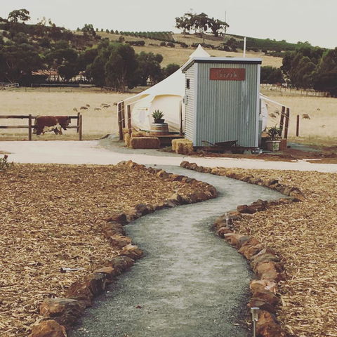 Bukirk Glamping & Fancy Coops - Darwin Holiday 26