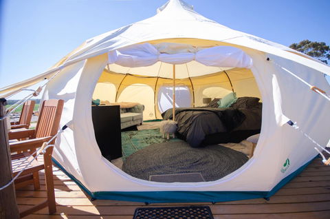Bukirk Glamping & Fancy Coops - Darwin Holiday 14