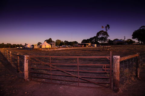Bukirk Glamping & Fancy Coops - Darwin Holiday 33