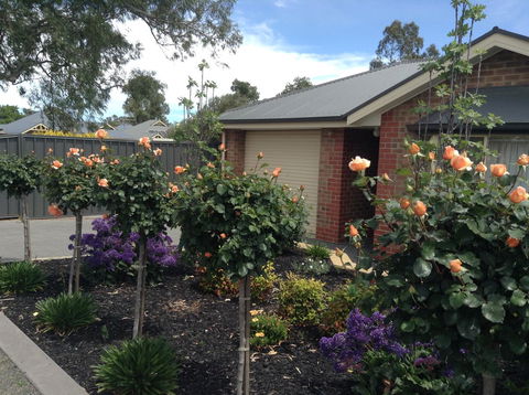 C And C Tanunda - Darwin Holiday 1