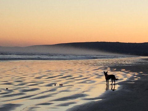 Goolwa Marinerâ€™s Cottage - Free Wifi And Pet Friendly - Centrally Located In Historic Region - Darwin Holiday 35