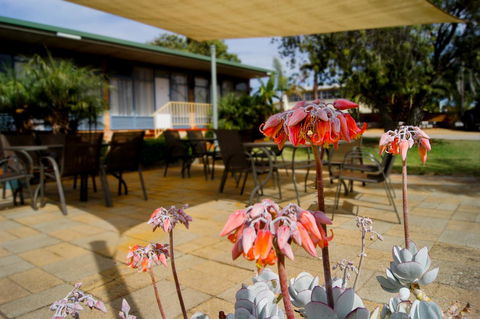 Kangaroo Island Seaview Motel - Darwin Holiday 3