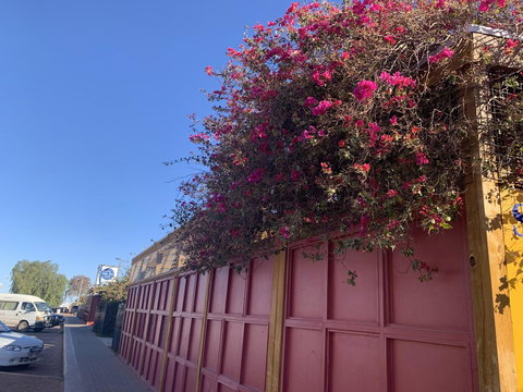 Opal Inn Hotel, Motel, Caravan Park - Darwin Holiday 44