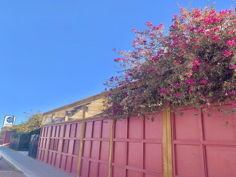 Opal Inn Hotel, Motel, Caravan Park - Darwin Holiday 39