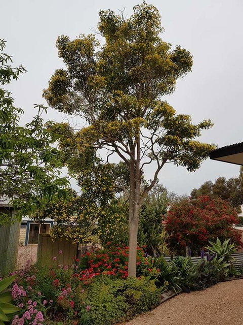 Sinclair Cottage - Darwin Holiday 25