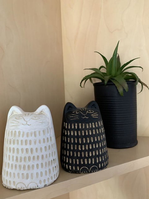 Sunshine Four - Darwin Holiday 20