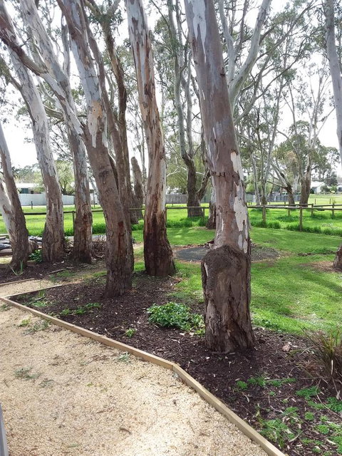 Cloisters Of Kalangadoo - Darwin Holiday 6