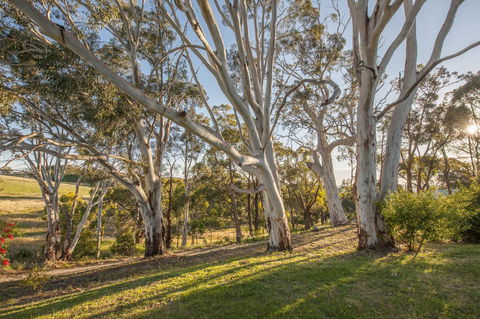 Discovery Parks - Hahndorf - Darwin Holiday 4
