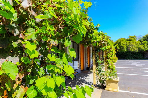 Country Roads Motor Inn Naracoorte - Darwin Holiday 18