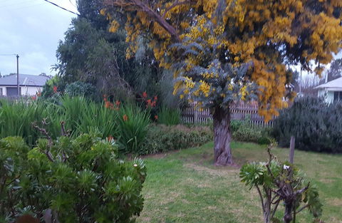 Ruby\'s Cottage - Darwin Holiday 19