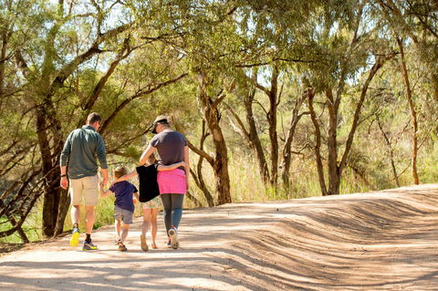BIG4 Renmark Riverfront Holiday Park - Darwin Holiday 13