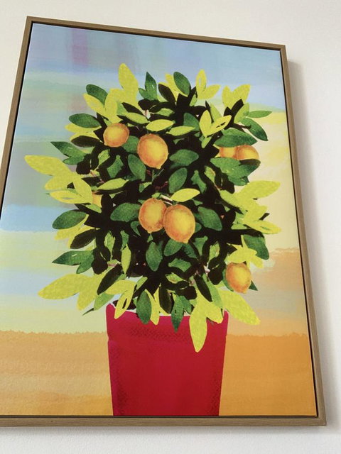 Sunshine Three - Darwin Holiday 2