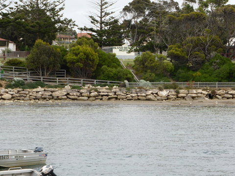 Island Motel Kingscote - Darwin Holiday 4