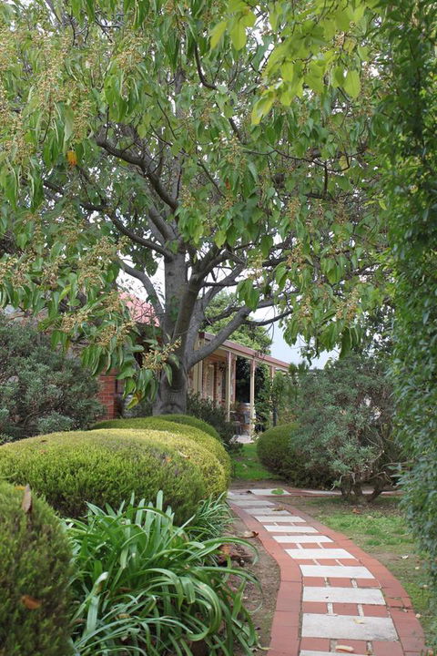 Langmeil Cottages - Darwin Holiday 2