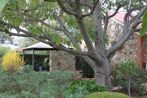 Langmeil Cottages - Darwin Holiday 3