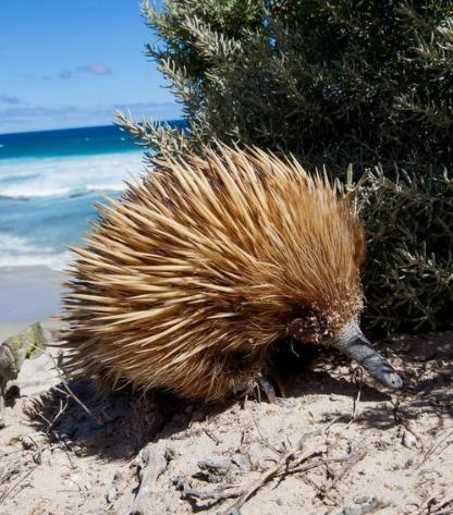 Saar River House - Darwin Holiday 15