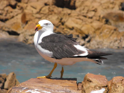 Saar River House - Darwin Holiday 26