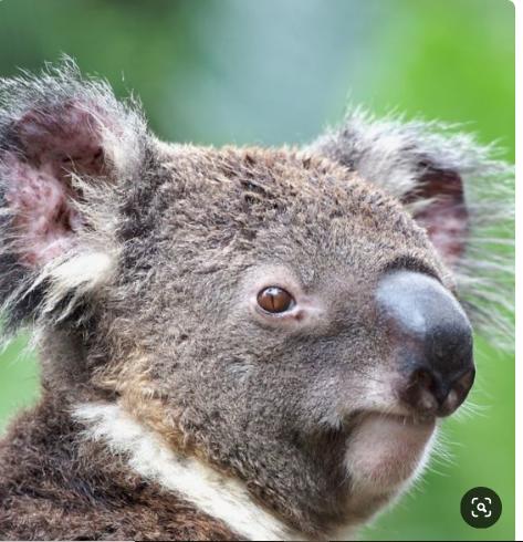 Saar River House - Darwin Holiday 22