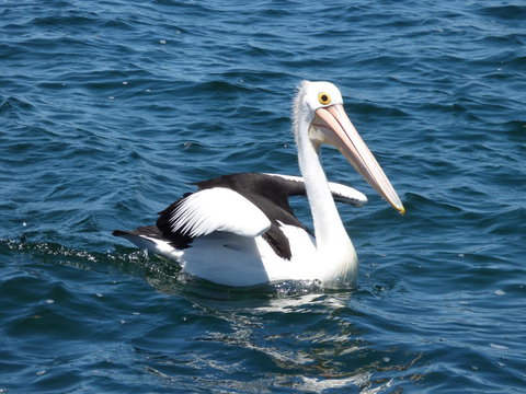 Saar River House - Darwin Holiday 6