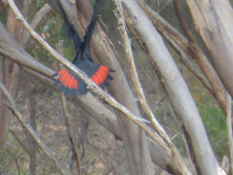 Saar River House - Darwin Holiday 5