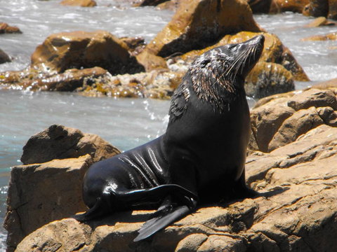 Saar River House - Darwin Holiday 23
