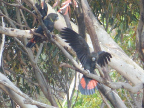 Saar River House - Darwin Holiday 4