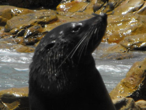Saar River House - Darwin Holiday 25