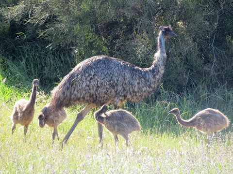 Edge Of Innes - Darwin Holiday 13
