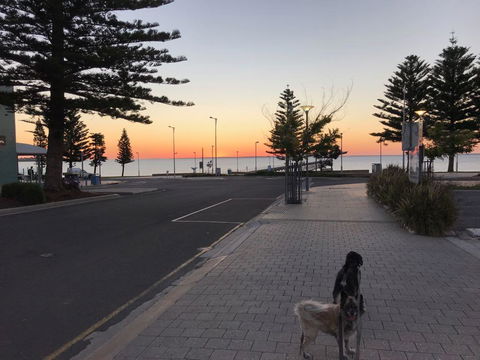 BIG4 Ceduna Tourist Park - Darwin Holiday 34