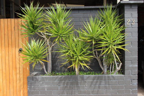 My Port Lincoln Place - Darwin Holiday 23