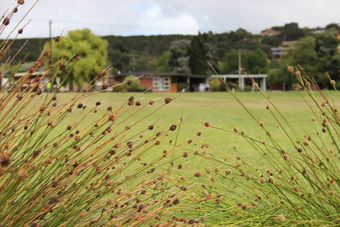 My Port Lincoln Place - Darwin Holiday 14