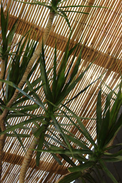 My Port Lincoln Place - Darwin Holiday 22