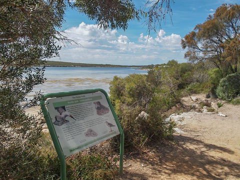 Willygunyah - Darwin Holiday 31