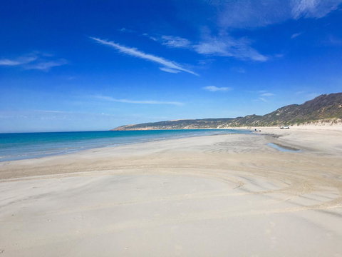 The Whitehouse - Darwin Holiday 7