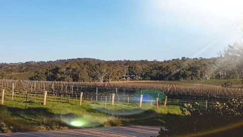 D2 At Watervale - Darwin Holiday 23