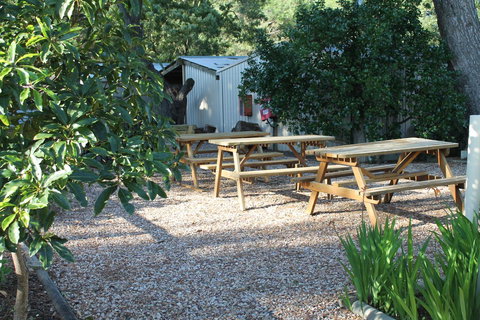 Millicent Hillview Caravan Park - Darwin Holiday 9