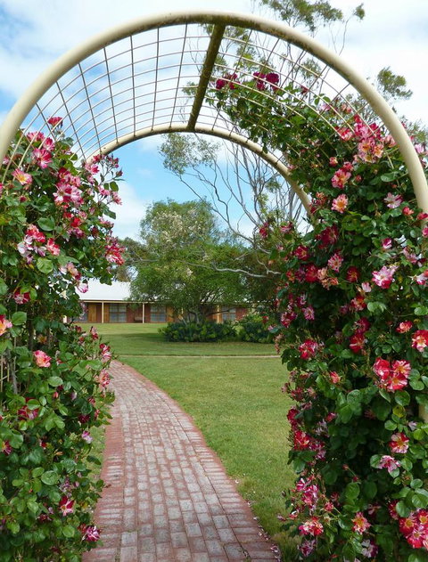 Coonawarra Place Motor Inn - Darwin Holiday 20