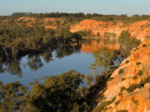 Echo Holiday Parks - Renmark - Darwin Holiday 11