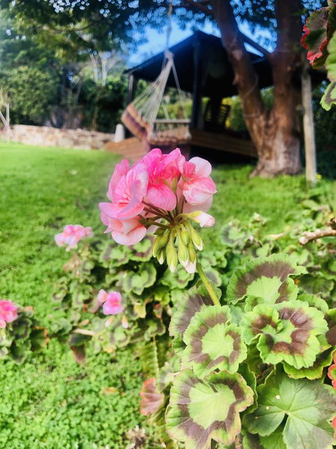 Stunning House With Beautiful Entertainment Area!! - Darwin Holiday 17