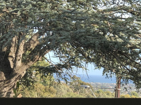 Stunning House With Beautiful Entertainment Area!! - Darwin Holiday 8