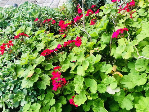 Stunning House With Beautiful Entertainment Area!! - Darwin Holiday 14