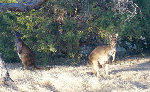 The Cape - Darwin Holiday 10