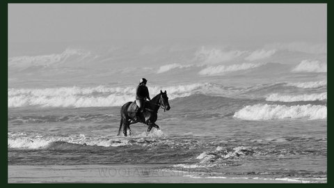 Gumnut Getaway BnB - Darwin Holiday 19